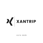 Modern X letter Logo (1)