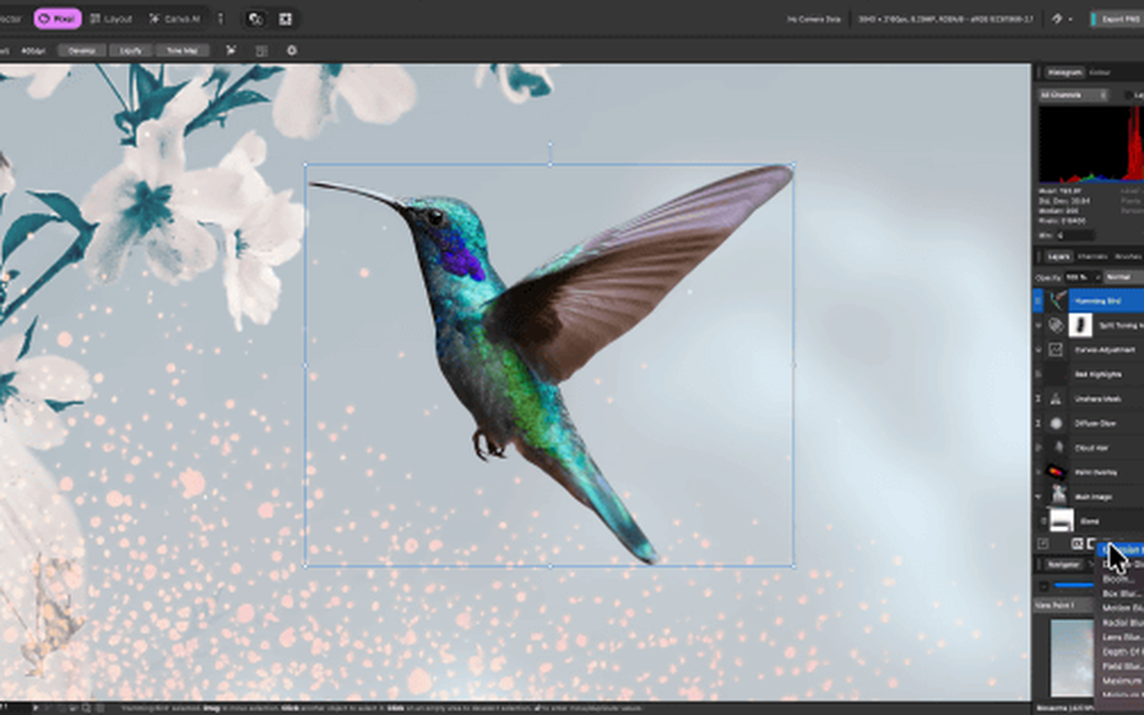Affinity editor interface showing the photo editing workspace